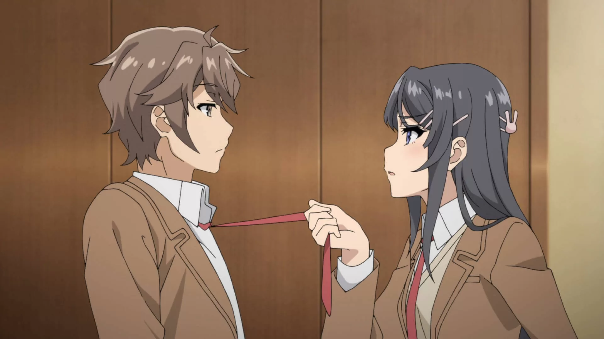 Rascal Does Not Dream of Bunny Girl Senpai